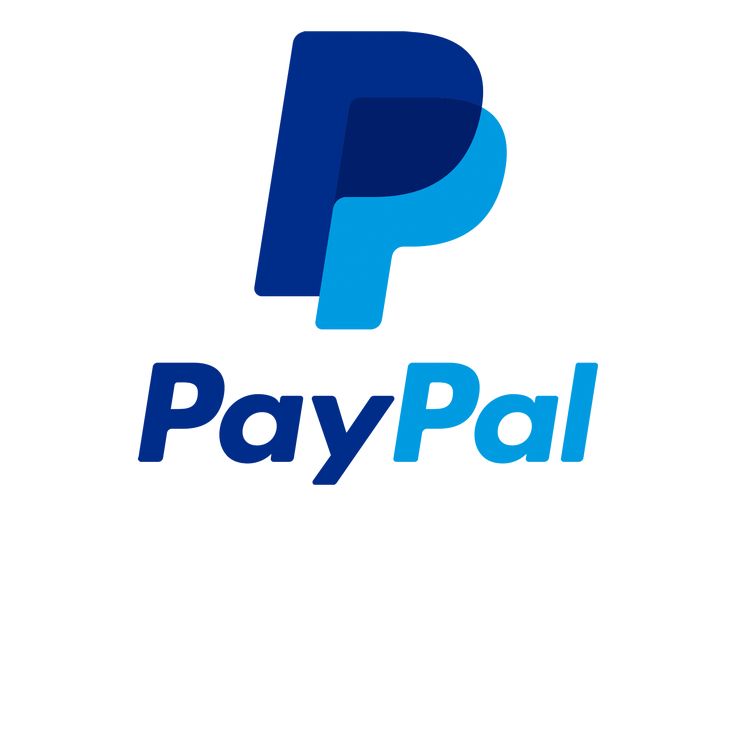 PayPal – The Payment Revolution
